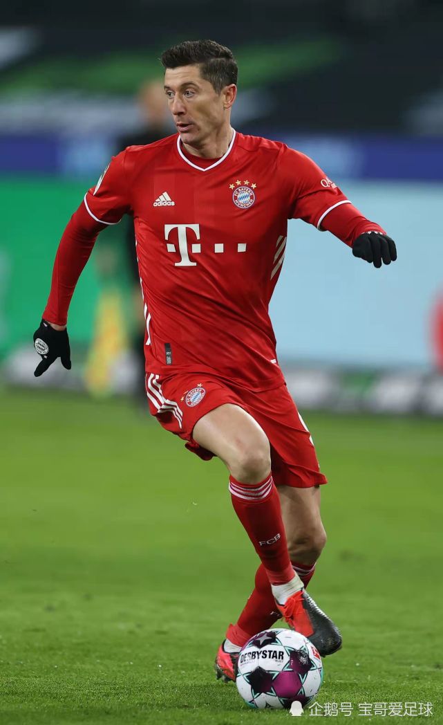 深圳男篮最新消息